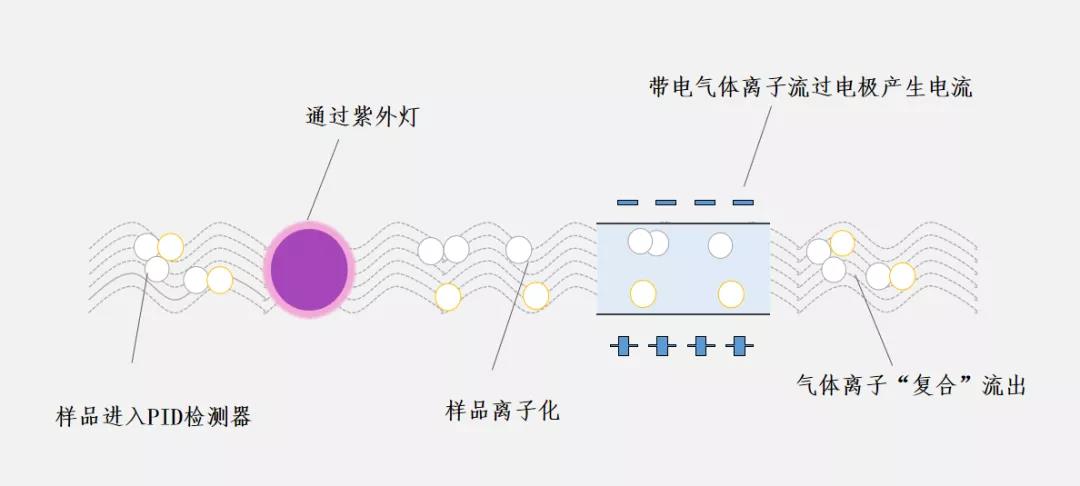 主客观相结合，助力车内气味精确测评2