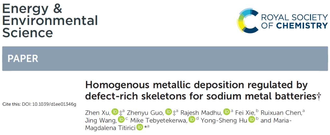 帝国理工学院Titirici课题组EES 富缺陷骨架诱导均匀金属沉积助力钠金属电池